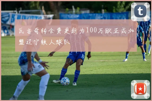 瓦吉奇转会费更新为100万欧正式加盟辽宁铁人球队